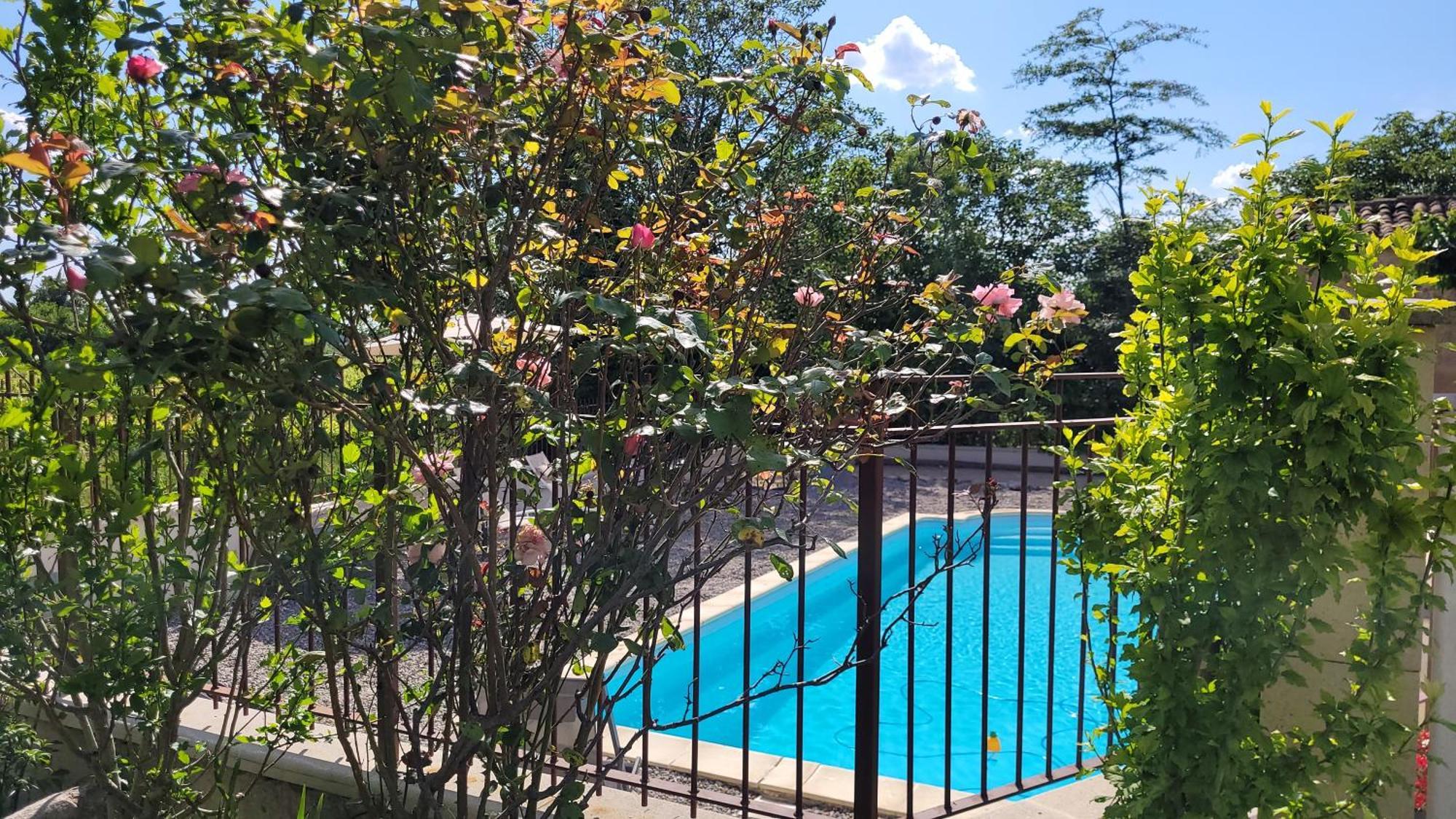 La Genestiere Au Milieu Des Vignes, Piscine Partagee * Mazan